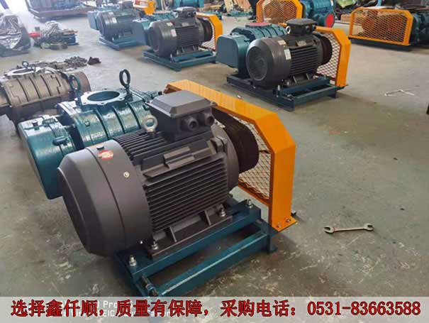 高壓羅茨鼓風機 發貨廣西高壓羅茨鼓風機XQSSR15030KW6臺(圖2)